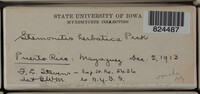 Image Associated With the Occurence